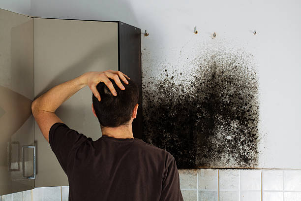 Mold Removal for HVAC Installations